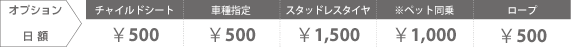 オプション　日額